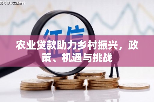 横山农业贷款助力乡村振兴，政策、机遇与挑战