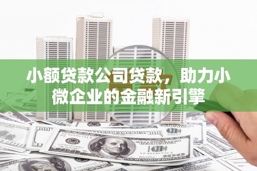 横山小额贷款公司贷款，助力小微企业的金融新引擎