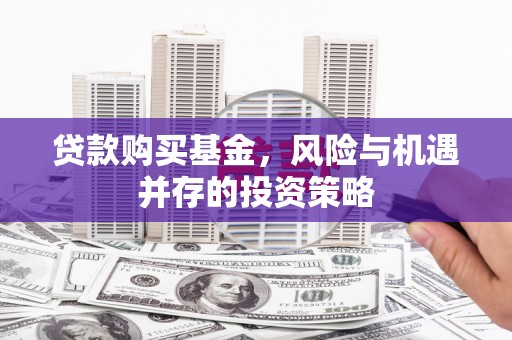 横山贷款购买基金，风险与机遇并存的投资策略