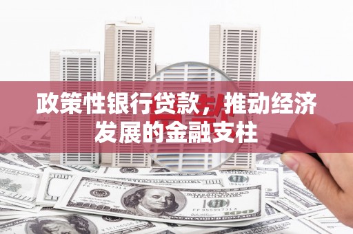 横山政策性银行贷款，推动经济发展的金融支柱
