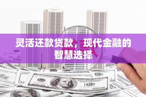 横山灵活还款贷款，现代金融的智慧选择