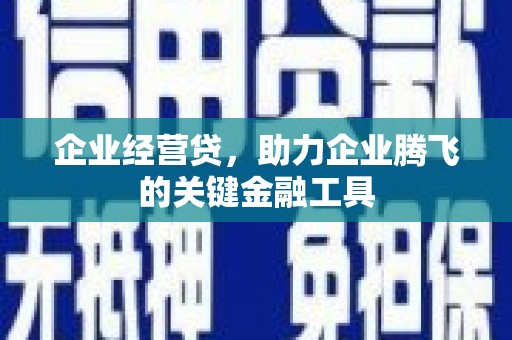 横山企业经营贷，助力企业腾飞的关键金融工具