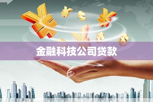 横山金融科技公司贷款