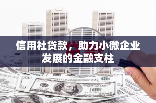 横山信用社贷款，助力小微企业发展的金融支柱