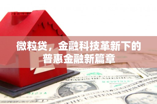 横山微粒贷，金融科技革新下的普惠金融新篇章