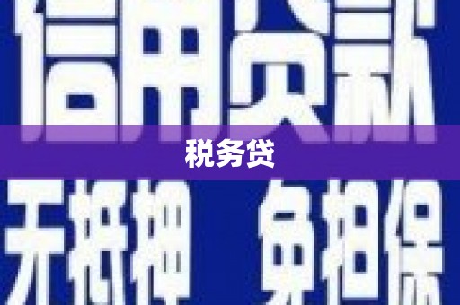 横山税务贷