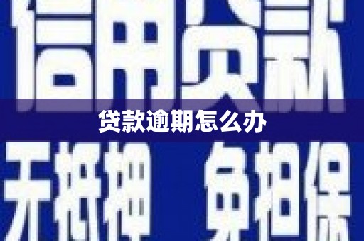 横山贷款逾期怎么办