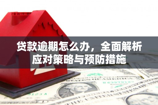 横山贷款逾期怎么办，全面解析应对策略与预防措施