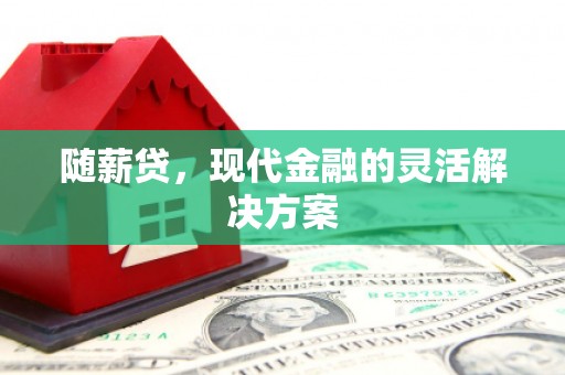 横山随薪贷，现代金融的灵活解决方案