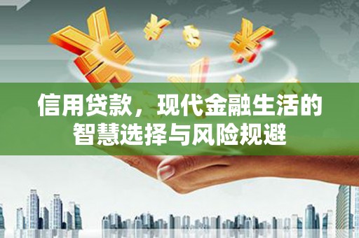 横山信用贷款，现代金融生活的智慧选择与风险规避