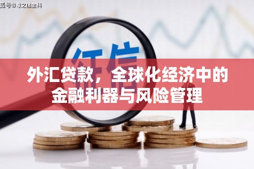 横山外汇贷款，全球化经济中的金融利器与风险管理