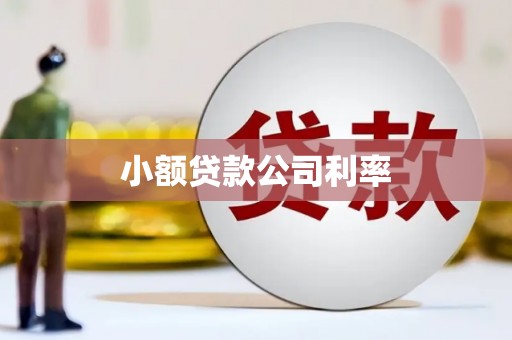 横山小额贷款公司利率