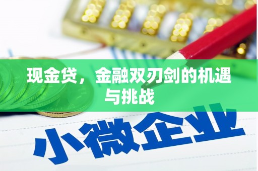 横山现金贷，金融双刃剑的机遇与挑战