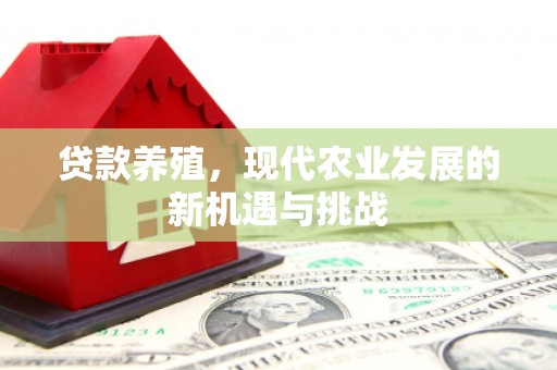 横山贷款养殖，现代农业发展的新机遇与挑战