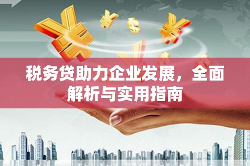 横山税务贷助力企业发展，全面解析与实用指南