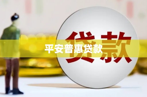 横山平安普惠贷款