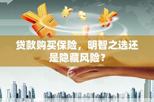 横山贷款购买保险，明智之选还是隐藏风险？