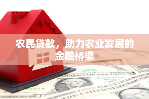 横山农民贷款，助力农业发展的金融桥梁