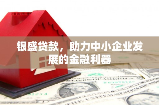 横山银盛贷款，助力中小企业发展的金融利器