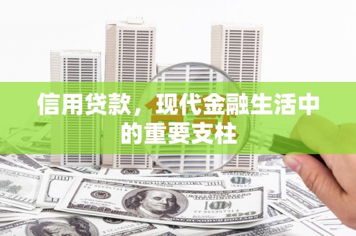 横山信用贷款，现代金融生活中的重要支柱