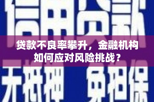 横山贷款不良率攀升，金融机构如何应对风险挑战？