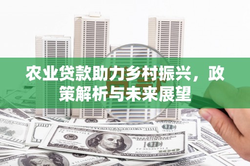 横山农业贷款助力乡村振兴，政策解析与未来展望