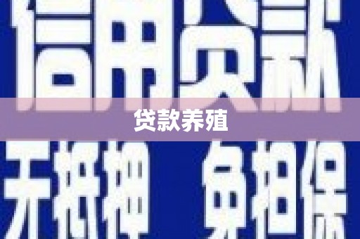 横山贷款养殖