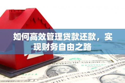 横山如何高效管理贷款还款，实现财务自由之路