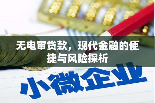横山无电审贷款，现代金融的便捷与风险探析