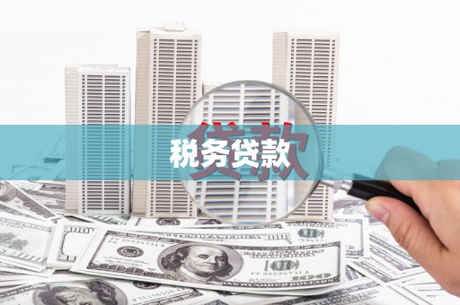横山税务贷款