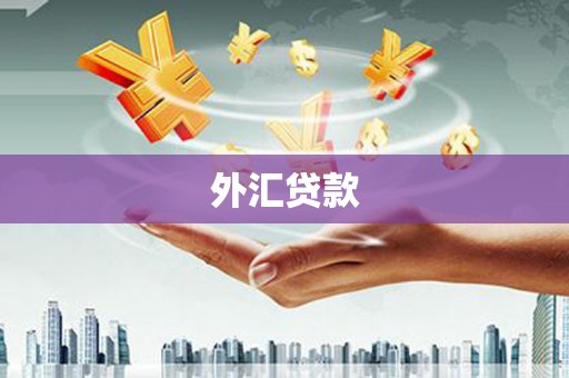 横山外汇贷款