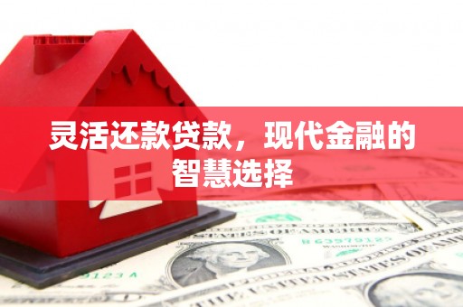 横山灵活还款贷款，现代金融的智慧选择