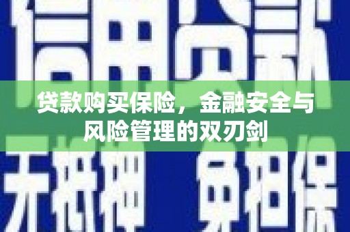 横山贷款购买保险，金融安全与风险管理的双刃剑