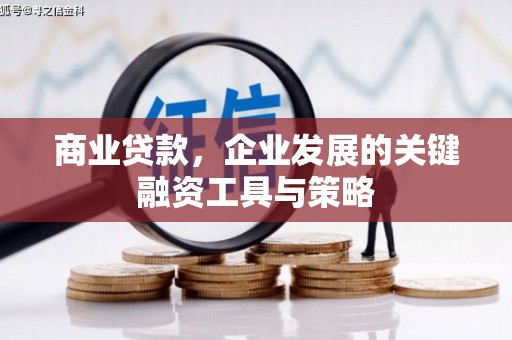 横山商业贷款，企业发展的关键融资工具与策略
