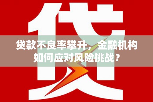 横山贷款不良率攀升，金融机构如何应对风险挑战？