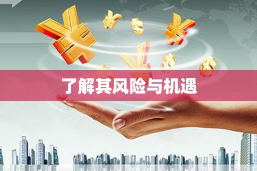 横山了解其风险与机遇