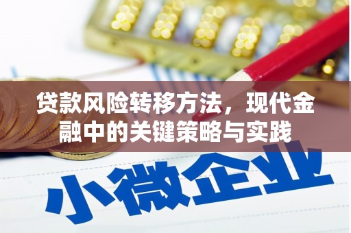 横山贷款风险转移方法，现代金融中的关键策略与实践