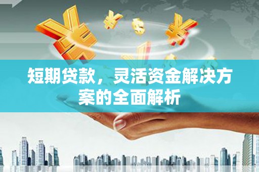 横山短期贷款，灵活资金解决方案的全面解析