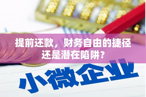 横山提前还款，财务自由的捷径还是潜在陷阱？