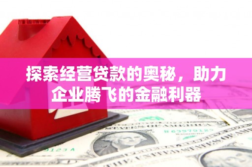 横山探索经营贷款的奥秘，助力企业腾飞的金融利器