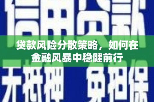横山贷款风险分散策略，如何在金融风暴中稳健前行