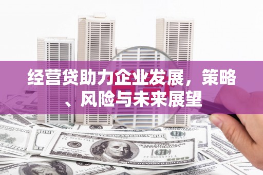 横山经营贷助力企业发展，策略、风险与未来展望