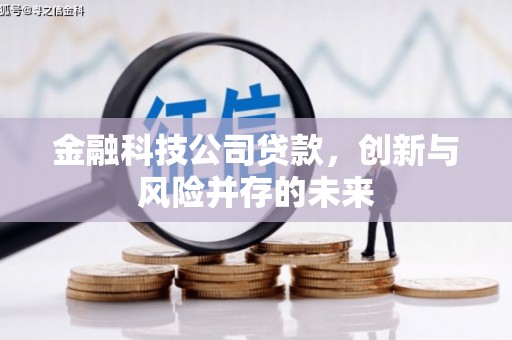 横山金融科技公司贷款，创新与风险并存的未来