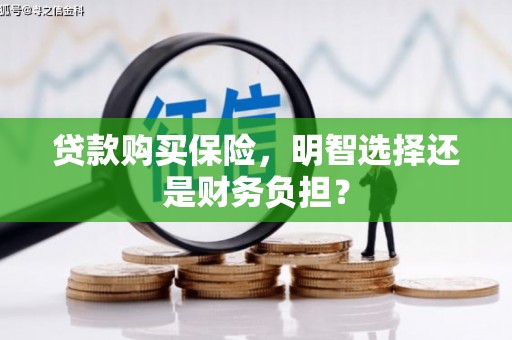 横山贷款购买保险，明智选择还是财务负担？
