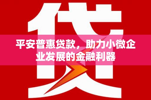 横山平安普惠贷款，助力小微企业发展的金融利器