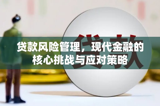 横山贷款风险管理，现代金融的核心挑战与应对策略