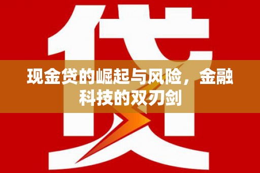 横山现金贷的崛起与风险，金融科技的双刃剑