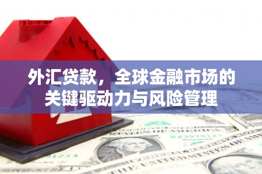 横山外汇贷款，全球金融市场的关键驱动力与风险管理