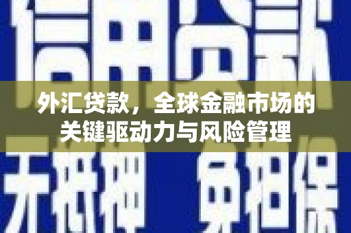 横山外汇贷款，全球金融市场的关键驱动力与风险管理