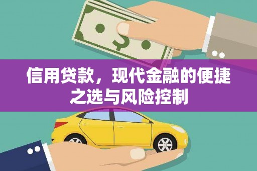 横山信用贷款，现代金融的便捷之选与风险控制
